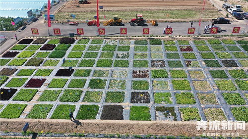 蘭州市榆中縣農(nóng)業(yè)技術(shù)推廣中心獲評(píng) 全國(guó)五星