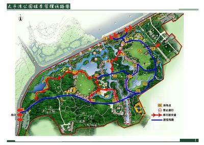 今年去太子灣公園賞櫻觀郁金香要提前預(yù)約!預(yù)約分上下午場,每場人數(shù)5000