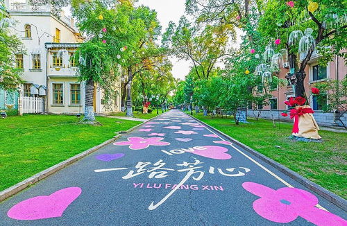 暑期游太陽島,一路暢通才舒心 綠色出行,讓您避開擁堵享愜意