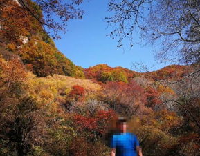 2019平山駝梁風(fēng)景區(qū)游玩全攻略 門票價(jià)格、游覽路線、地址與服務(wù)詳解